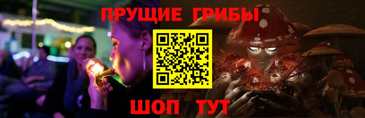 Саров  Псилоцибиновые грибы мухоморы  Галлюциногенные грибы GOLDEN TEACHER  купить закладку  Вход с VPN 