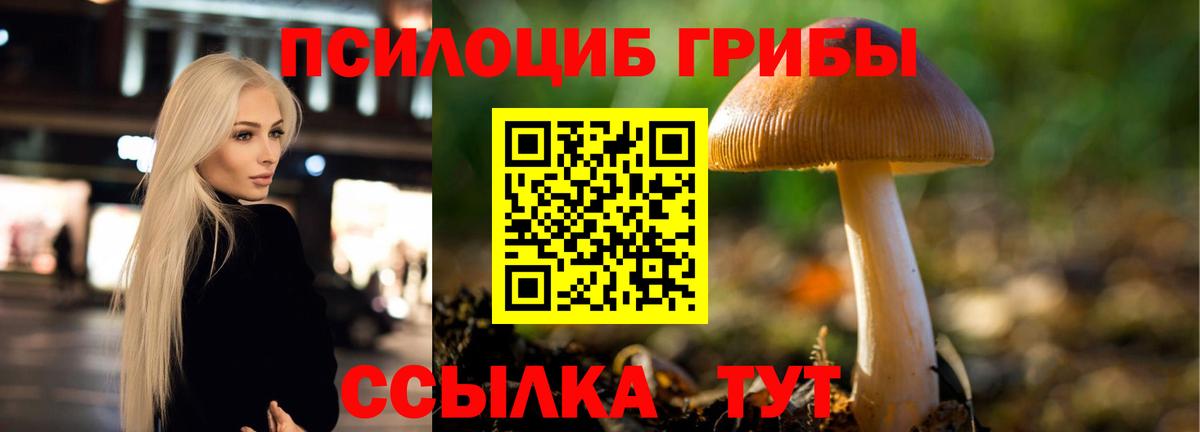 Галлюциногенные грибы Magic Shrooms Саров